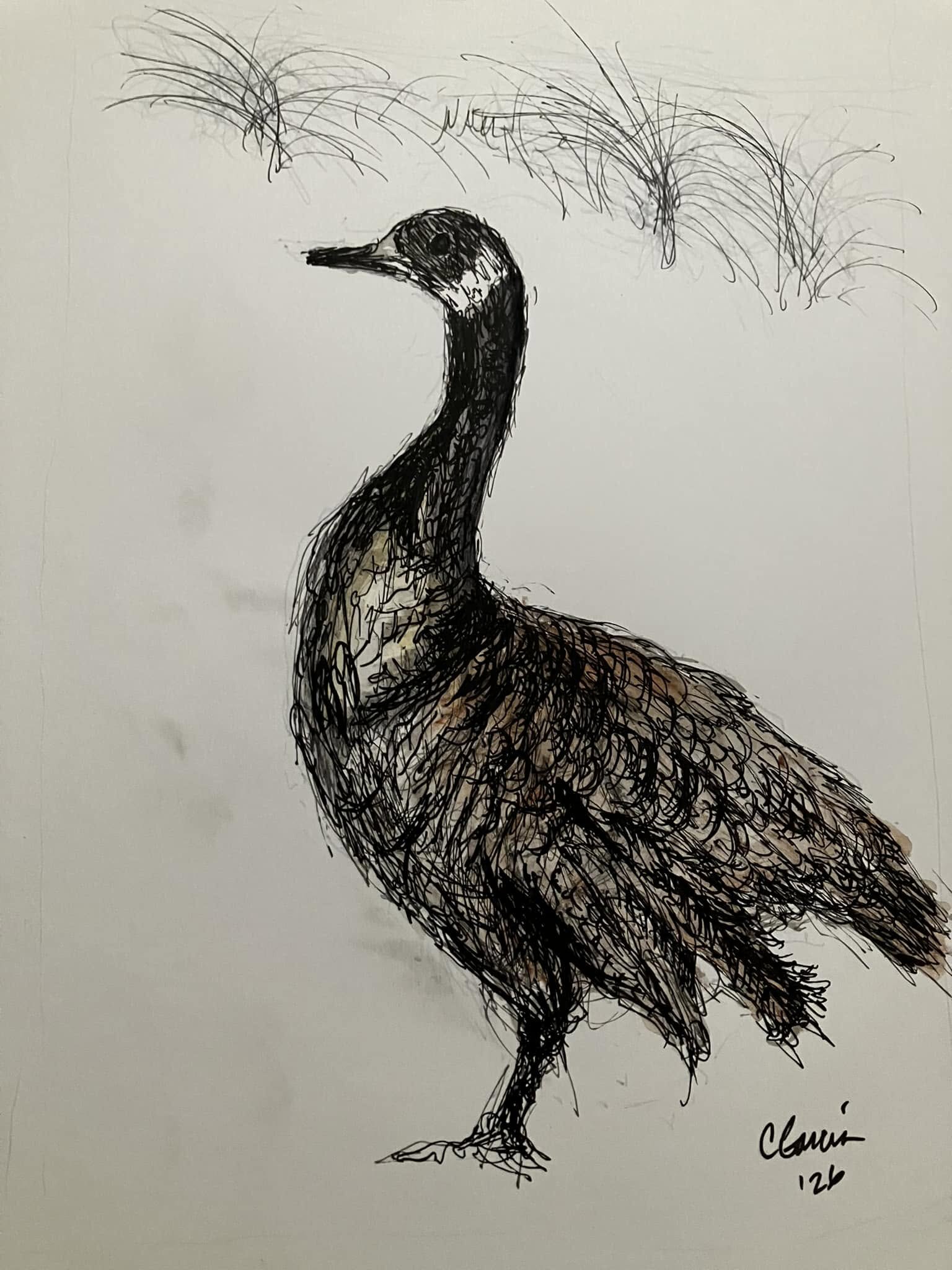 First study for Peaceful, a standing Canada goose drawn with dense black gestural lines and limited brown washes.